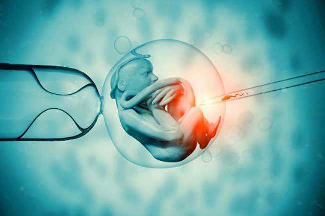 青岛供卵试管助孕生儿子多少钱：2023年在青岛哪里可以做供体精子和卵子的试管婴儿？费用会是多少？